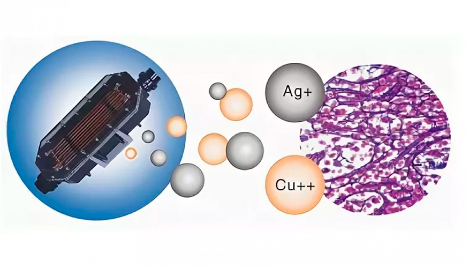 Беcхлорная дезинфекция ионами серебра и меди